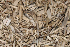 biomass boilers Woodchester
